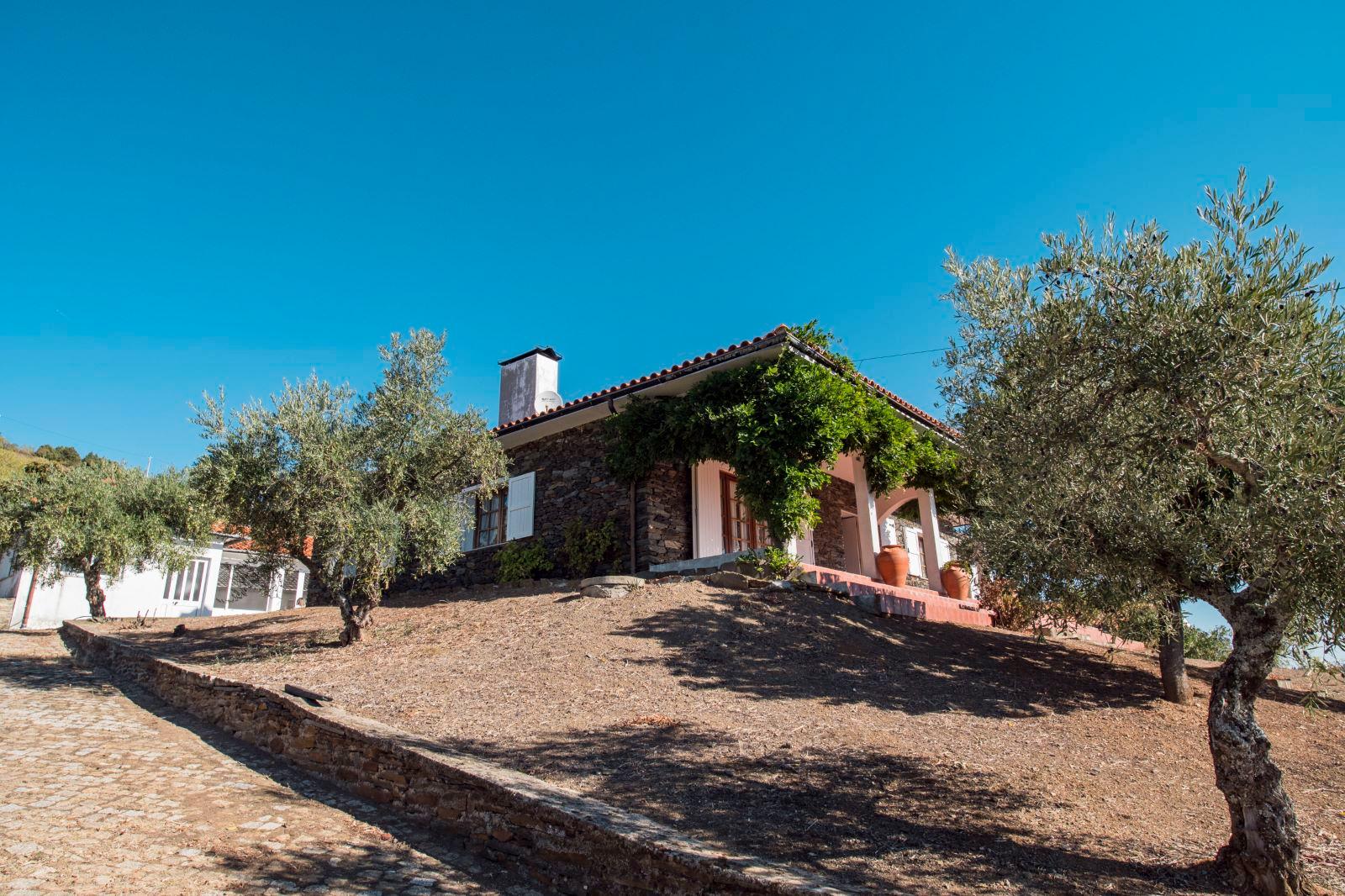 Farm in Mogadouro — photograph 2