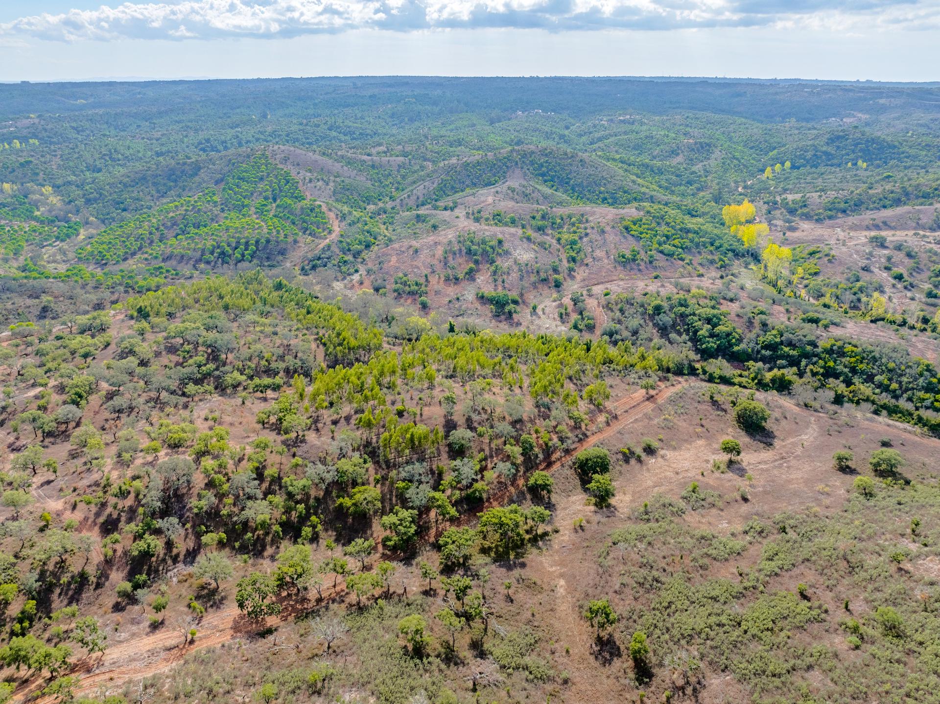 Land in Grândola (83939) — photograph 3