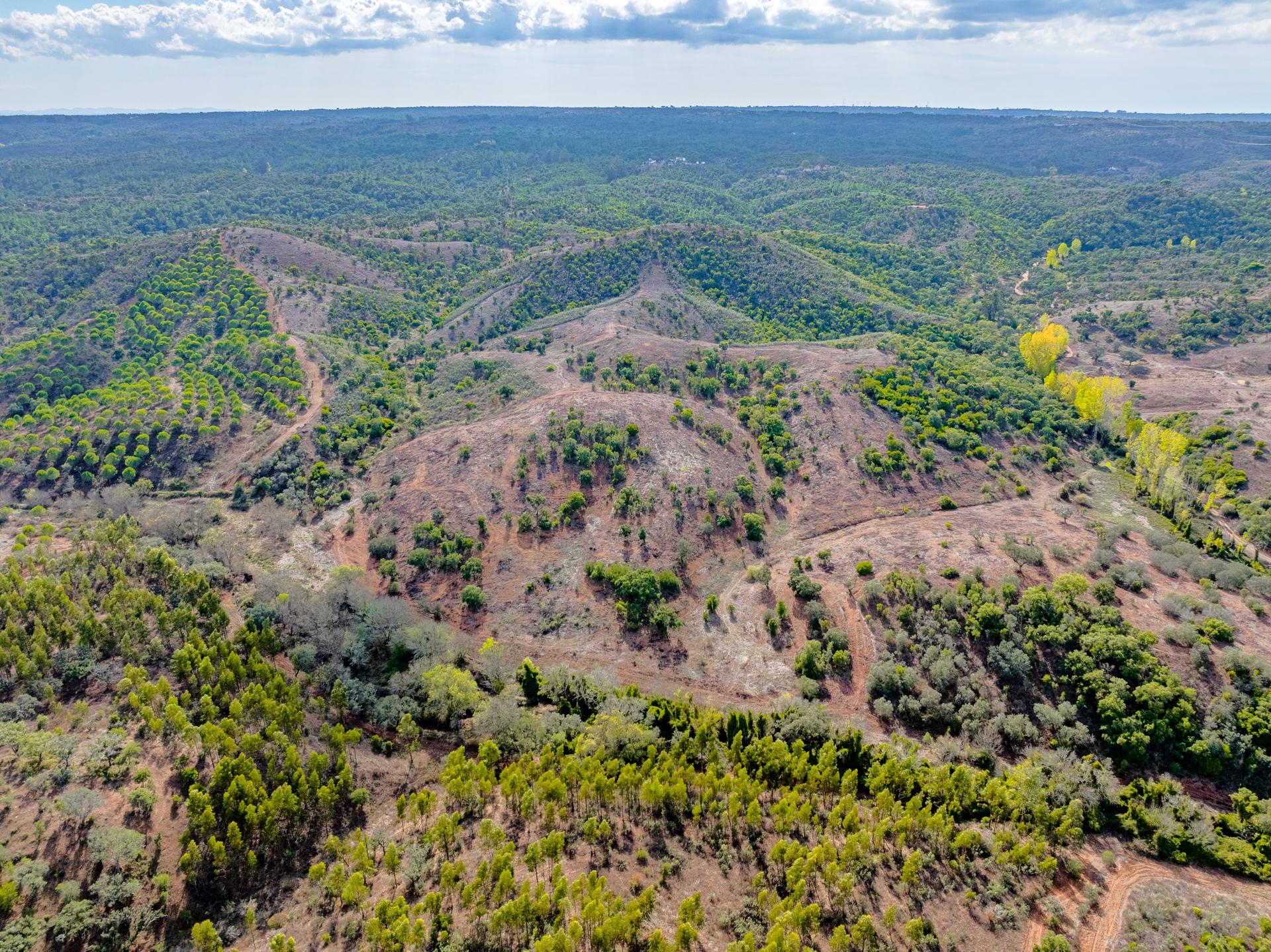 Land in Grândola (83939) — photograph 4