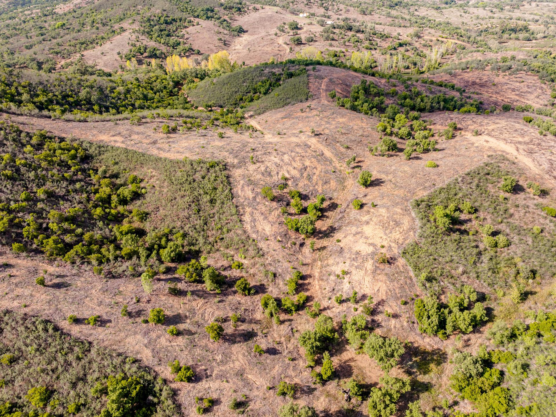 Land in Grândola (83939) — photograph 5