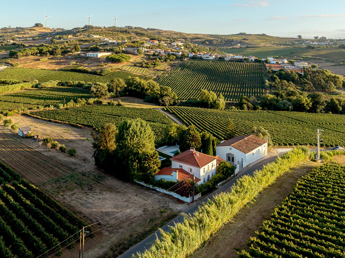 House in Torres Vedras — photograph 2