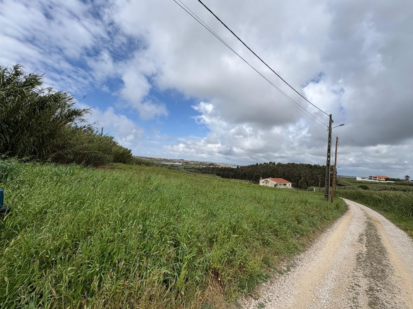 Land in Torres Vedras — photograph 3