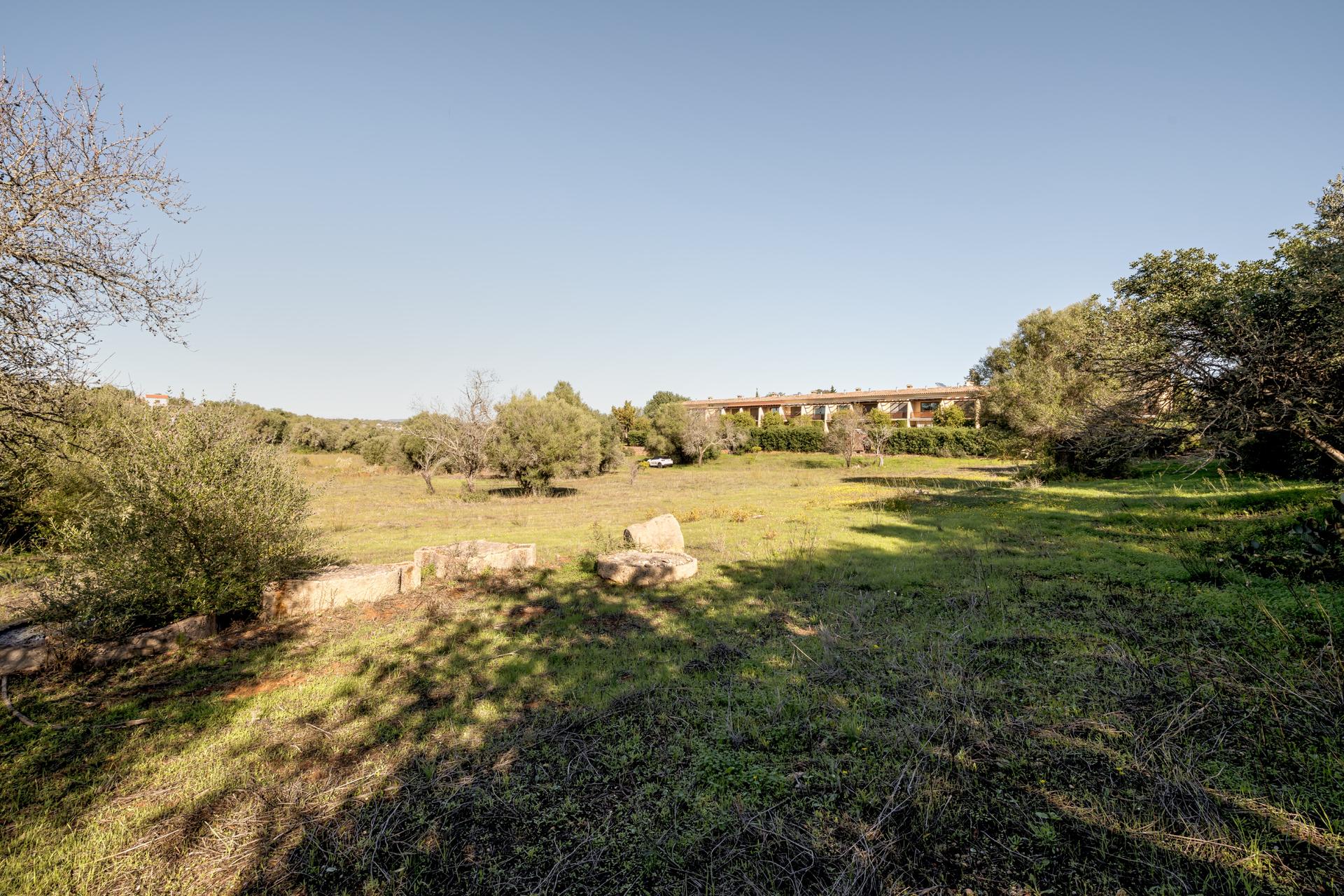 Land in Silves (93912) — photograph 4