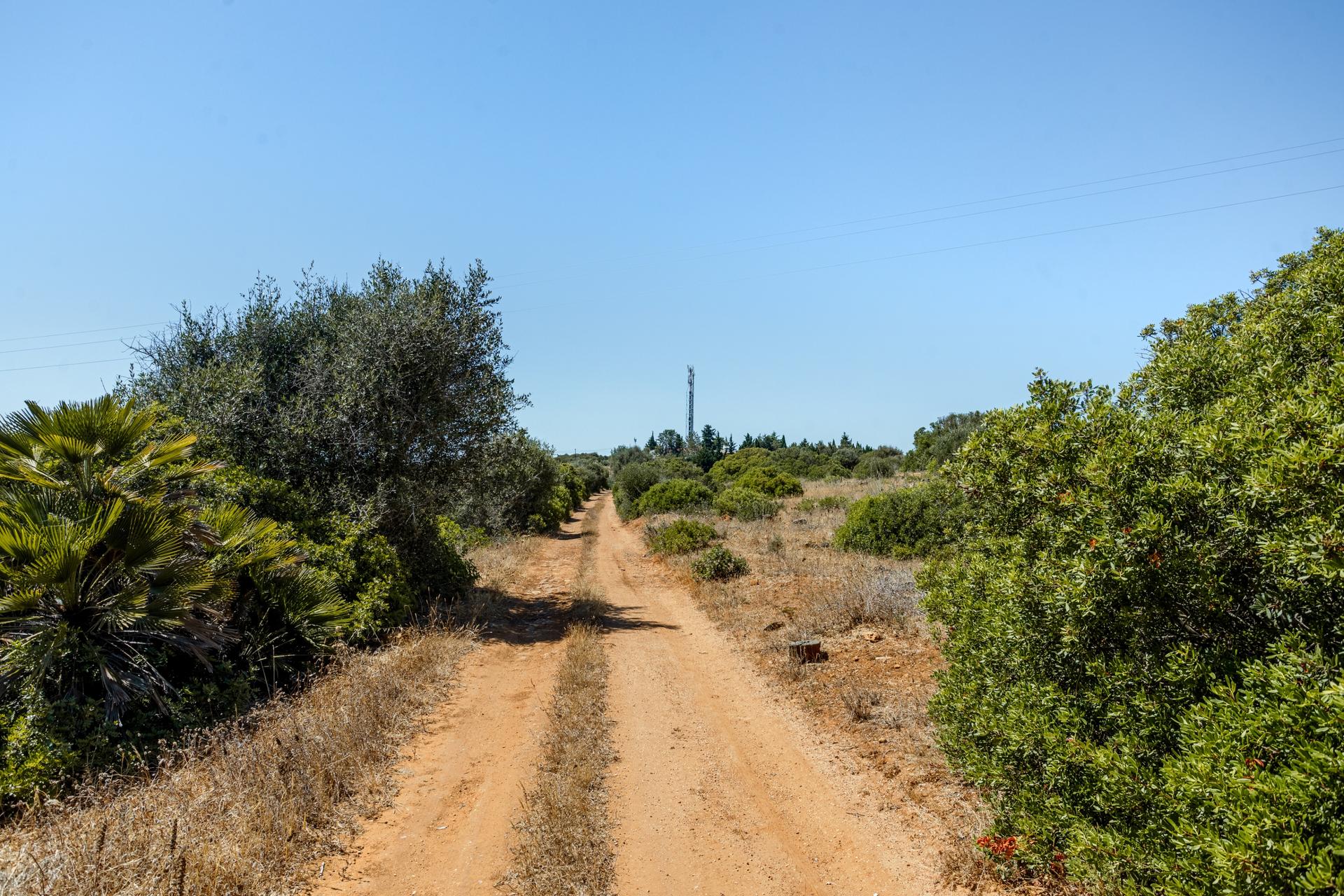 Land in Lagos (80536) — photograph 4