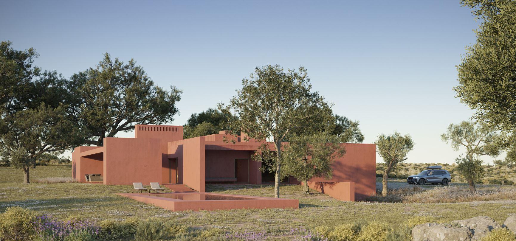 Land in Olhão — photograph 5