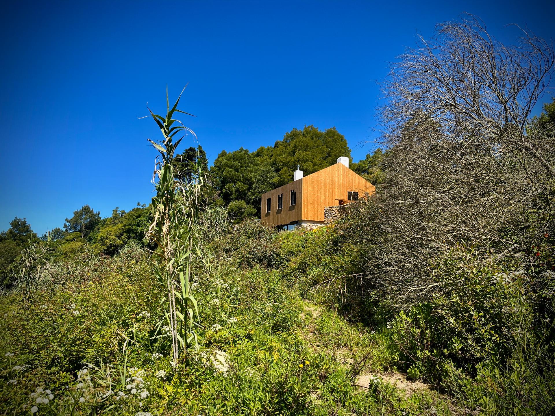 House in Sintra (98218) — photograph 3