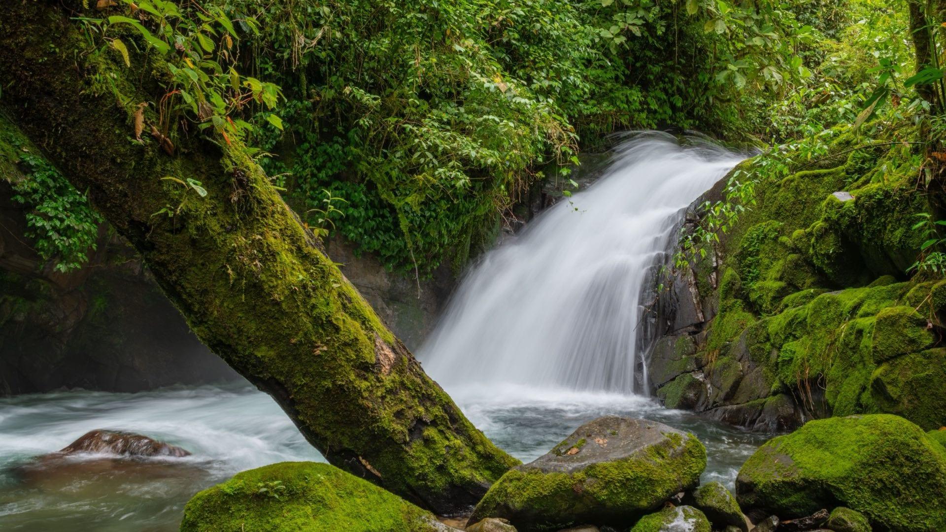 Costa Rica Investor Guide
