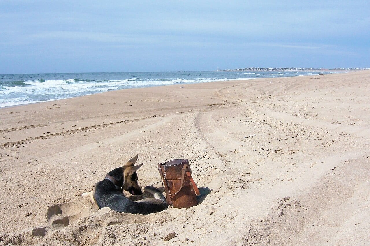 Faro (The Village)