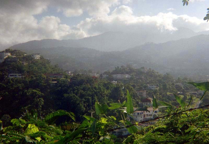 Liguanea